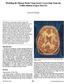 Modeling the Human Brain Using Serial Cryosections from the Visible Human Project Data Set