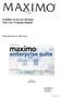 Facilities & Service Division End User Training Manual. Introduction to Maximo. Version 3 January Delia Ritherdon Peter Nardi Amanda Nov