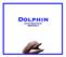 Dolphin. Real-time Mapping Software manual version 1.1