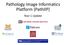 Pathology Image Informatics Platform (PathIIP) Year 1 Update