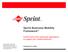 Sprint Business Mobility Framework SM
