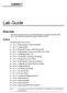 Lab Guide CIERS1. Overview. Outline