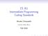 CS 251 Intermediate Programming Coding Standards