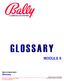 GLOSSARY MODULE 5. MK5-SVMOD-0001 Glossary 5-1. Bally Gaming and Systems 2000 BALLY GAMING and SYSTEMS