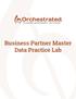 Business Partner Master Data Practice Lab