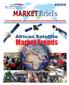 The African Satellite Market