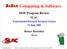 Computing & Software. DOE Program Review. Rainer Bartoldus. Experimental Research Breakout Session 15 June 2005 SLAC