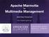 Apache Marmotta. Multimedia Management