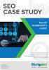 E-Commerce SEO Case Study: Icegreen.ca