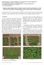 DISEASE AREAS DETECTION ON AGRICULTURAL PLANTS USING FRACTAL AND TEXTURAL FEATURES OF HIGH RESOLUTION COLOR AERIAL PHOTOGRAPHS