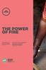 THE POWER OF FIRE THE INNOVATIVE BUSINESS MODEL OF BIOLITE AN ULTRA-CLEAN, ELECTRICITY GENERATING, BIOMASS COOKSTOVE PROJECT REG10039