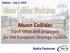Muon Collider Input ideas and proposals for the European Strategy Update