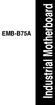 EMB-B75A. Industrial Motherboard