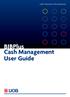 UOB TRANSACTION BANKING. BIBPlus Cash Management User Guide