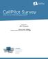 InfoPlus. CallPilot Survey. What are my Unified Messaging Assets? Produced For ABC Company. Inventory Configuration Performance Security Backup