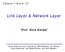 Link Layer & Network Layer