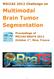 Multimodal Brain Tumor Segmentation