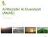 Al-Masader Al-Duwaliyah (AMAD) Overview