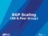 BGP Scaling (RR & Peer Group)