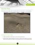 In this tutorial, you will create a scene with sandman dispersing in sand, as shown in in the image below.