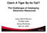 Catch A Tiger By Its Tail? The Challenges of Cataloging Electronic Resources