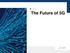 In this E-Guide: The Future of 5G
