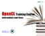 OpenCL Training Course