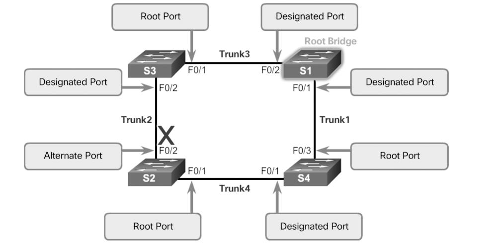 In a network topology of switches, all nonroot bridge switches have a single root port chosen, and that port provides the lowest-cost path back to the root bridge.