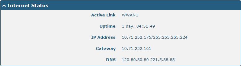 Internet Status Item Active Link Uptime IP Address Gateway DNS Internet Status Description Show the current active link. Show the current amount of time the link has been connected.