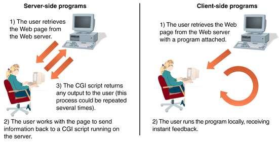 Server-Side and Client-Side Programs Previously, you learned how to access CGI scripts that run from a Web server.