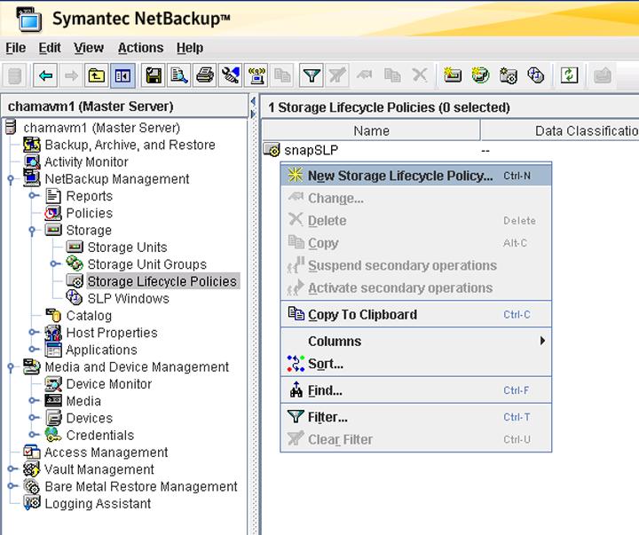 Configure a second storage lifecycle policy for Copilot 25 Configure a second SLP 1 Log