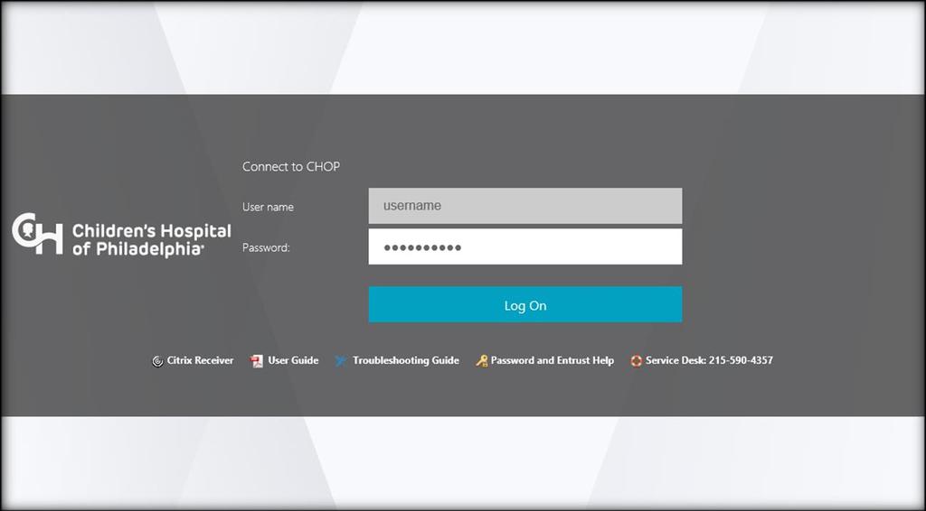 click the Log on button. Connect to CHOP 4. Once logged in, you willl be presented with 2 sets of applications.