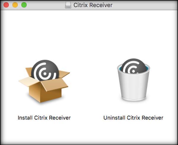 2. Click the link to download the Citrix Client.