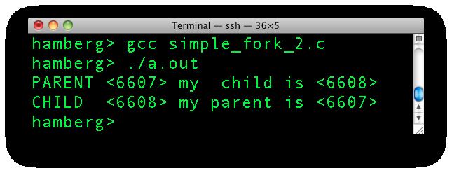 simple_fork_2.c main() The return value of fork() is assigned to the pid variable.