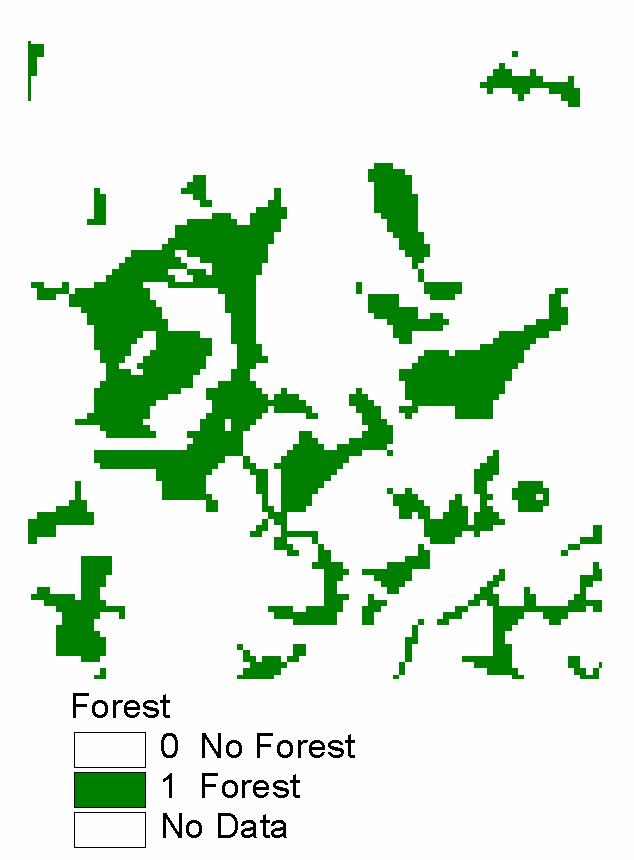 Raster Zone and Region All of the forest taken together represents a single zone.