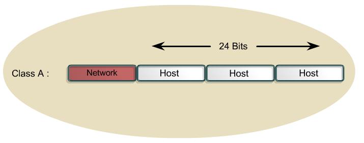 The Class A address was designed to support extremely large networks, with more than 16 million host addresses available. Class A IP addresses use only the first octet to indicate the network address.