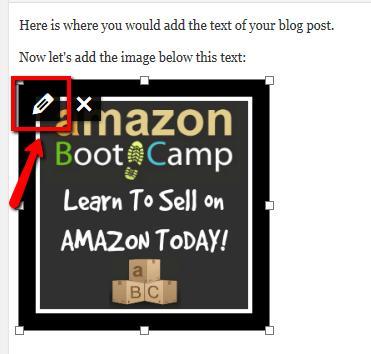 3. Now you need to add your affiliate link to the image you just inserted.