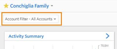 Account Filtering In Portfolio View, users can use account filtering to view a subset of accounts within a client s portfolio. Select the Account Filter dropdown to open a list of filtering options.