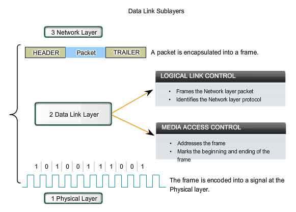 2. Tầng liên kết dữ liệu (Data Link layer) Chức năng Tầng liên kết dữ liệu (Data Link layer) Đo ng khung dữ liệu (Framing) Gán địa chỉ vật lý MAC Điều khiển luồng Kiểm