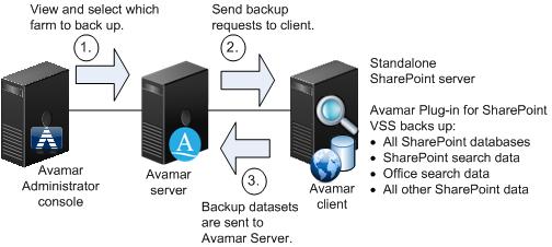 Introduction Backup The backup strategy for a SharePoint farm should include the backup of the entire farm as well as the backup of the operating system, as described in the following topics: Backing