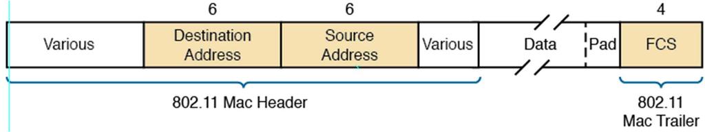 Exploring WLAN Common Features: Associating WLAN frames and addresses 802.11 standard defines frame format used by all physical layer standards Several 802.