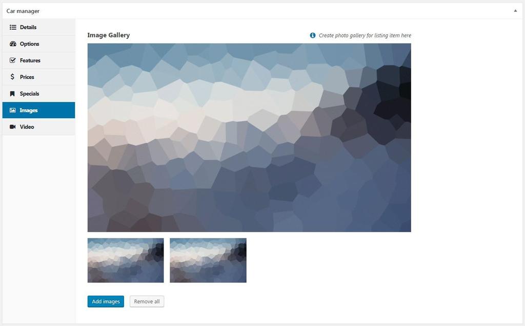 Images & Videos: Here possible to set additional images and videos for the Listing. Again, thank you for using our plugin!