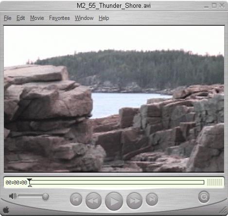 MediaStudio Pro Format-Specific Downloads QuickTime Player Pro, $29 Win Media Encoder RealProducer, Plus $199