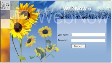 View NSAR Documents in WebNow Log in 1. Go to WebNow at https://itsinweb01.uncw.edu/webnow. The login window will appear. 2. Enter your UNCW domain username and password. Click Connect.