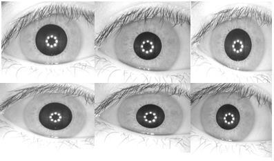 8 Figure 2.3: Sample of iris images from CASIA 2.2.2. Segmentation A good segmentation algorithm should involve two procedures, iris localization and noise reduction.