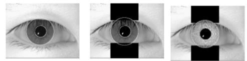 and the sclera. The noise reduction process refers to localizing the iris from the noise (non-iris parts) in the image.