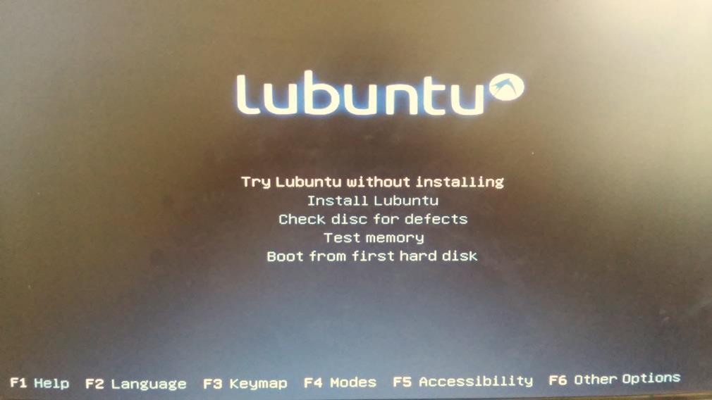 options. Choose Install Lubuntu.