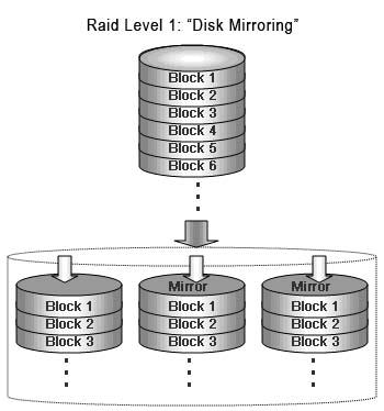 Known as "Disk Mirroring" provides redundancy by fully duplicating drive data to all other drives in the array.