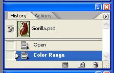 10. HISTORY PALETTE This tool allows you to revert to a previous step in your work as well as view the last 20 steps you did to your image.