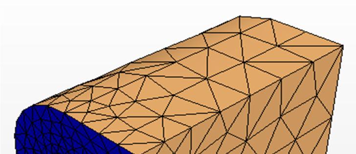 Figure 11 Surface mesh